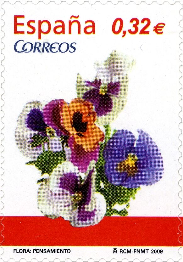 Pansy (Viola tricolor var. hortensis)
