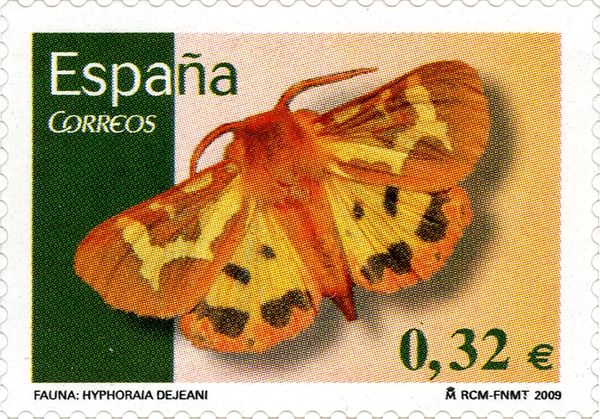 Spanish Tiger (Hyphoraia dejeani)