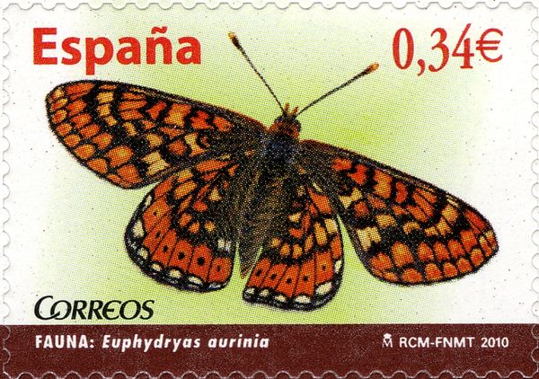Marsh Fritillary (Euphydryas aurinia)