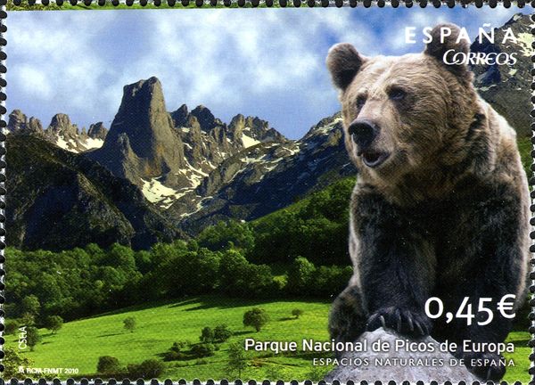 National Park of Picos de Europa, Brown Bear (Ursus arctos)
