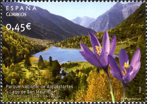 Crocus nudiflorus in Aigüestortes i Estany National Park