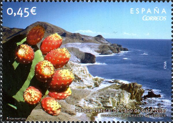 Opuntia ficus-indica in Cabo de Gata-Níjar Nature Park