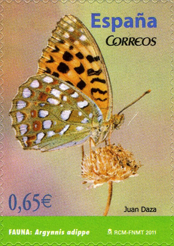 High Brown Fritillary (Argynnis adippe)