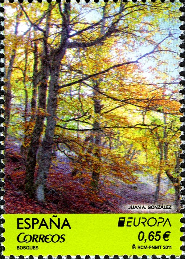 EUROPA: Forests