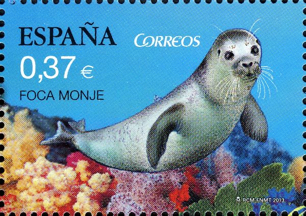 Mediterranean Monk Seal (Monachus monachus)