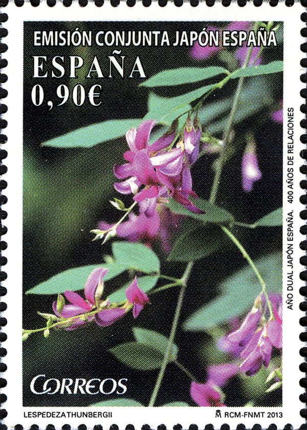 Bush Clover (Lespedeza thunbergii)