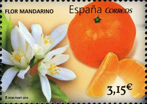 Spanish Cuisine