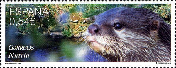 Otter