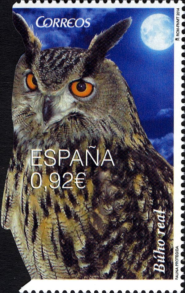 Eurasian Eagle-owl (Bubo bubo)