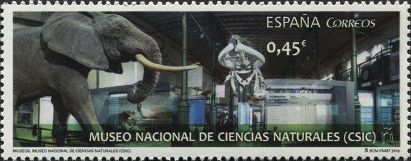Museum of Natural Sciences (CSIC)