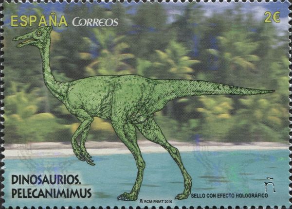 Pelecanimimus