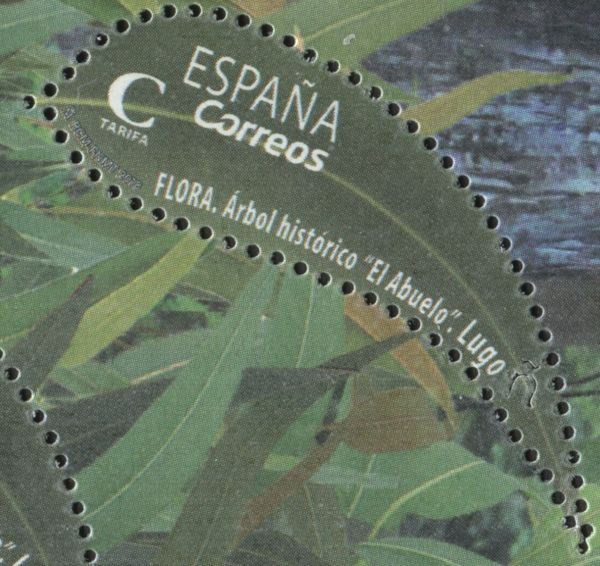 Historical Tree of Lugo