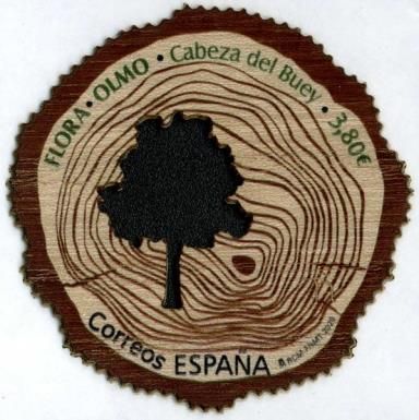 Elm Trees of Our Lady of Belén, Cabeza de Buey