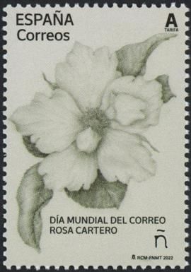 World Post Day - Rose