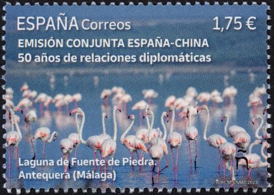 Flamingoes in Fuente de Piedra Lagoon, Spain