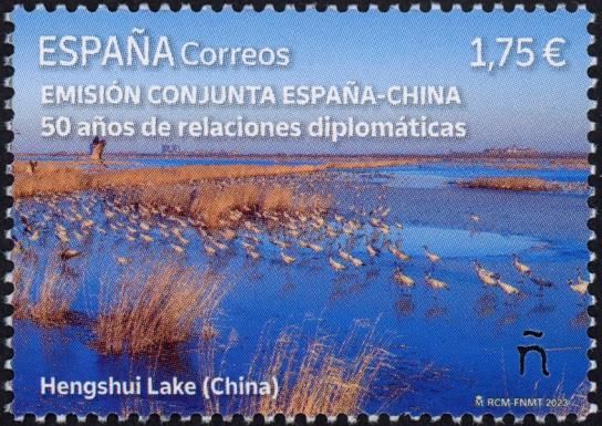Birds in Hengshui Lake, China