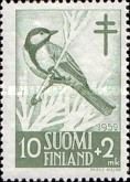 Great Tit (Parus major)