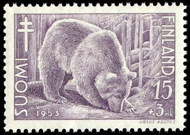 Brown Bear (Ursus arctos)