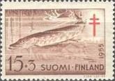 Northern Pike (Esox lucius)