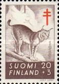 Eurasian Lynx (Lynx lynx)