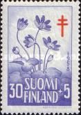 Liverleaf (Hepatica nobilis)
