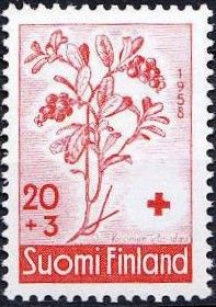Lingonberry (Vaccinium vitis-idaea)