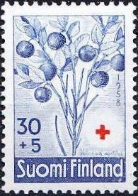 Bilberry (Vaccinium myrtillus)