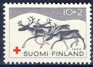 Reindeer (Rangifer tarandus)