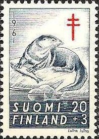 Eurasian Otter (Lutra lutra)