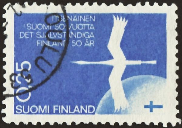 Crane (Grus grus) and Globe