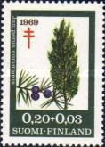 Juniper (Juniperus communis)