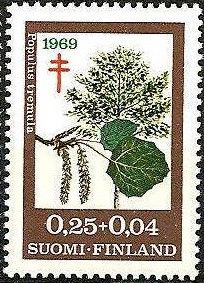 European Aspen (Populus tremula)