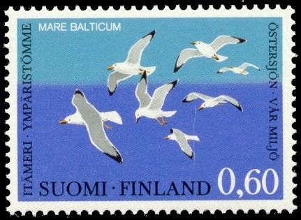 Baltic Sea-our Environment, Herring Gull (Larus argentatus)