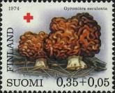 False Morel (Gyromitra esculenta) - Normal paper