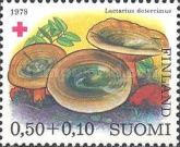 False saffron Milk-cap (Lactarius deterrimus)