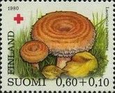Woolly/Bearded Milkcap (Lactarius torminosus)
