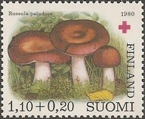 Russula paludosa