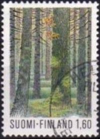 Multiharju Old-growth Forest, Seitseminen National Park