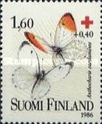 Orange Tip (Anthocharis cardamines)
