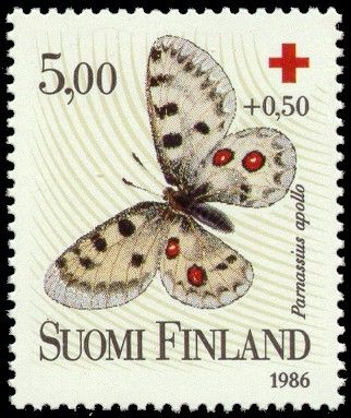 Apollo (Parnassius apollo)