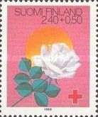 Midsummer Night, Rose & Sun