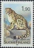 Snow Leopard (Panthera uncia)