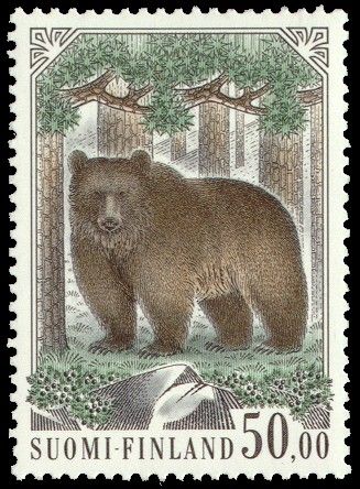 Brown Bear (Ursus arctos)