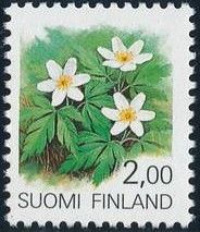 Wood Anemone (Anemone nemerosa)