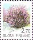 Common Heather (Calluna vulgaris)