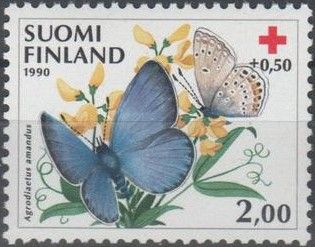 Amanda's Blue (Agrodiaetus amanda)