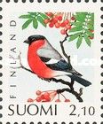 Eurasian Bullfinch (Pyrrhula pyrrhula)