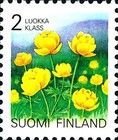 Globe Flower (Trollius europaeus)