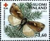 Moth (Xestia brunneoptica)
