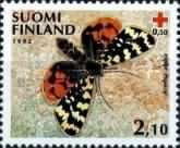 Moth (Acerbia alpina)